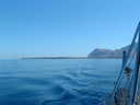 2006